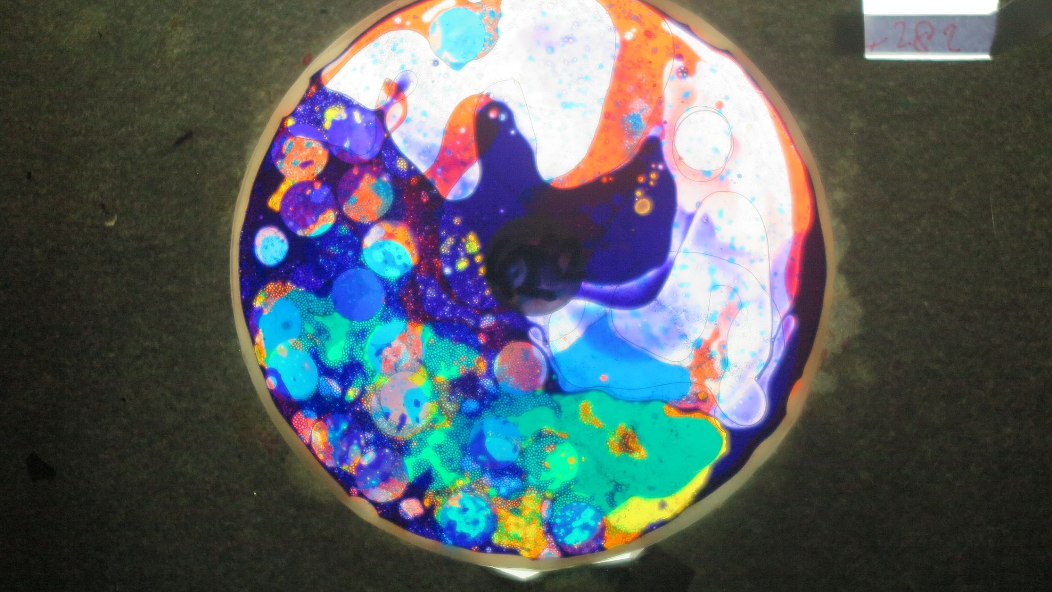 BV4282 bubble vision oil wheel